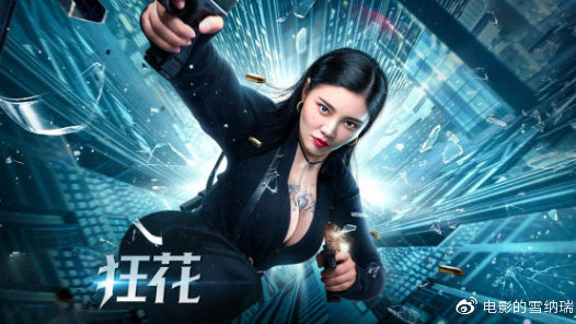 麦觉理大学计算机科学文凭证书